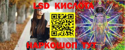 амф Заволжье