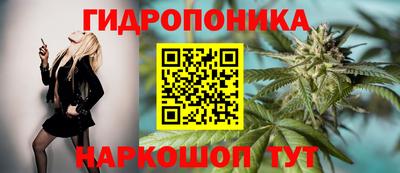 соль курить ск Заводоуковск
