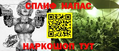 амф Заволжье